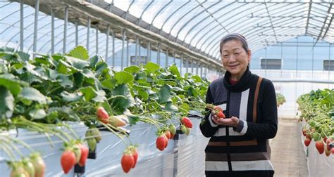 딸기 수확 체험으로 유명한 드래곤팜! 많은 사람에게 사랑받는 비결은